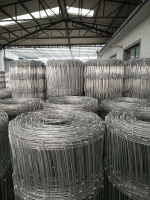 Sabit Menteşe Çayır Tel Çit, 2.5mm Galvanizli Hasır Tel Çit