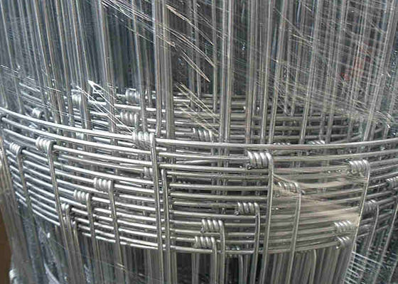Sığır Galvanizli Eskrim Mesh 2mm Çap 0.4m - 1.8m Genişlik