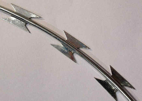 Koruma için 200g/m2 Çinko Kaplı Jiletli Dikenli Tel Concertina Bobin BTO22